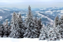 winter-767172_1920